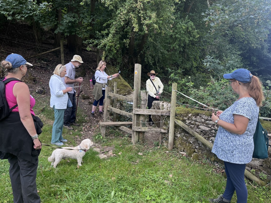 Minchinhampton Field Trip 2